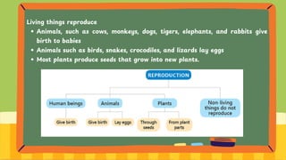 Living things reproduce
Animals, such as cows, monkeys, dogs, tigers, elephants, and rabbits give
birth to babies
Animals such as birds, snakes, crocodiles, and lizards lay eggs
Most plants produce seeds that grow into new plants.
 
