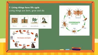 7. Living things have life cycle
Living things are born, grow and die
 