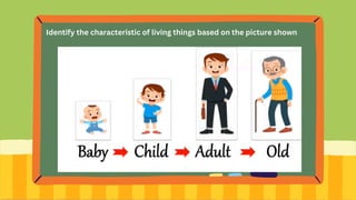 Identify the characteristic of living things based on the picture shown
 