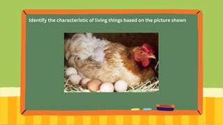 Identify the characteristic of living things based on the picture shown
 