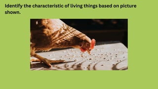 Identify the characteristic of living things based on picture
shown.
 