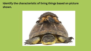 Identify the characteristic of living things based on picture
shown.
 