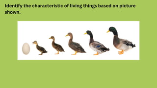Identify the characteristic of living things based on picture
shown.
 