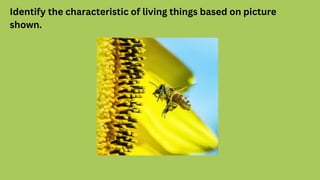 Identify the characteristic of living things based on picture
shown.
 
