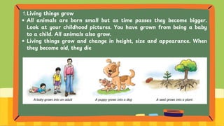 Living things grow
1.
All animals are born small but as time passes they become bigger.
Look at your childhood pictures. You have grown from being a baby
to a child. All animals also grow.
Living things grow and change in height, size and appearance. When
they become old, they die
 