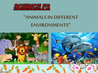 “ANIMALS IN DIFFERENT
ENVIRONMENTS”
 