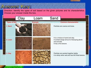 Identify Soil Types PPT SCIENCE 4- QUARTER 4 CHAPTER 1 LESSON 57-TYPES OF SOIL.pptx
