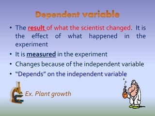 • The result of what the scientist changed. It is
the effect of what happened in the
experiment
• It is measured in the experiment
• Changes because of the independent variable
• “Depends” on the independent variable
Ex. Plant growth
 