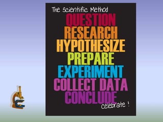 Ppt scientific method | PPT