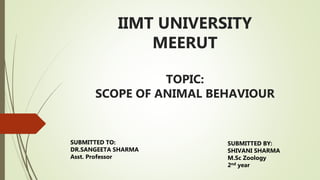 IIMT UNIVERSITY
MEERUT
TOPIC:
SCOPE OF ANIMAL BEHAVIOUR
SUBMITTED TO:
DR.SANGEETA SHARMA
Asst. Professor
SUBMITTED BY:
SHIVANI SHARMA
M.Sc Zoology
2nd year
 