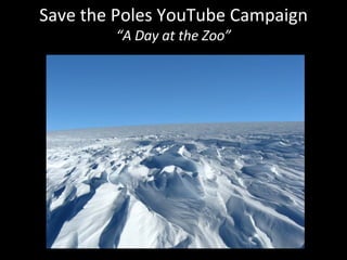 Save the Poles YouTube Campaign “ A Day at the Zoo” 