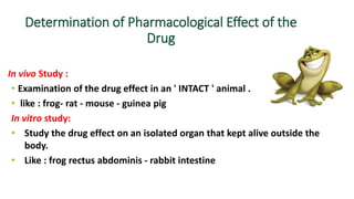 Determination of Pharmacological Effect of the
Drug
In vivo Study :
• Examination of the drug effect in an ' INTACT ' animal .
• like : frog- rat - mouse - guinea pig
In vitro study:
• Study the drug effect on an isolated organ that kept alive outside the
body.
• Like : frog rectus abdominis - rabbit intestine
 