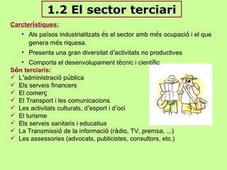 Ppt sector terciari