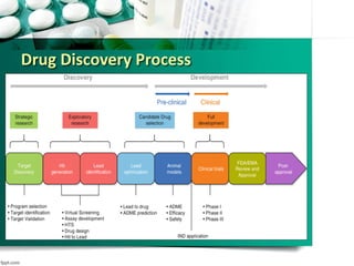 Drug Discovery Process
 