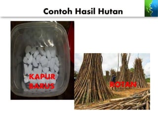 Contoh Hasil Hutan
KAPUR
BARUS ROTAN
 