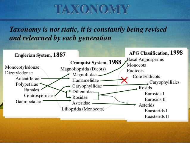 Sejarah dan Perkembangan Taksonomi Tumbuhan