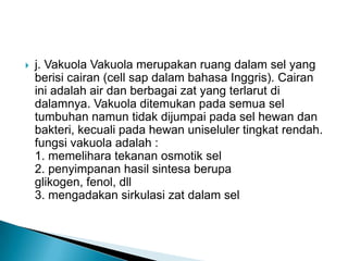  j. Vakuola Vakuola merupakan ruang dalam sel yang
berisi cairan (cell sap dalam bahasa Inggris). Cairan
ini adalah air dan berbagai zat yang terlarut di
dalamnya. Vakuola ditemukan pada semua sel
tumbuhan namun tidak dijumpai pada sel hewan dan
bakteri, kecuali pada hewan uniseluler tingkat rendah.
fungsi vakuola adalah :
1. memelihara tekanan osmotik sel
2. penyimpanan hasil sintesa berupa
glikogen, fenol, dll
3. mengadakan sirkulasi zat dalam sel
 