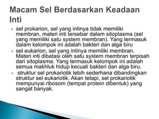  sel prokarion, sel yang intinya tidak memiliki
membran, materi inti tersebar dalam sitoplasma (sel
yang memiliki satu system membran). Yang termasuk
dalam kelompok ini adalah bakteri dan alga biru
 sel eukarion, sel yang intinya memiliki membran.
Materi inti dibatasi oleh satu system membran terpisah
dari sitoplasma. Yang termasuk kelompok ini adalah
semua makhluk hidup kecuali bakteri dan alga biru.
 struktur sel prokariotik lebih sederhana dibandingkan
struktur sel eukariotik. Akan tetapi, sel prokariotik
mempunyai ribosom (tempat protein dibentuk) yang
sangat banyak.
 
