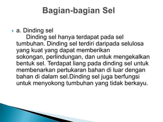  a. Dinding sel
Dinding sel hanya terdapat pada sel
tumbuhan. Dinding sel terdiri daripada selulosa
yang kuat yang dapat memberikan
sokongan, perlindungan, dan untuk mengekalkan
bentuk sel. Terdapat liang pada dinding sel untuk
membenarkan pertukaran bahan di luar dengan
bahan di dalam sel.Dinding sel juga berfungsi
untuk menyokong tumbuhan yang tidak berkayu.
 