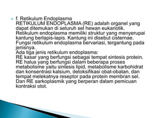  f. Retikulum Endoplasma
RETIKULUM ENDOPLASMA (RE) adalah organel yang
dapat ditemukan di seluruh sel hewan eukariotik.
Retikulum endoplasma memiliki struktur yang menyerupai
kantung berlapis-lapis. Kantung ini disebut cisternae.
Fungsi retikulum endoplasma bervariasi, tergantung pada
jenisnya.
Ada tiga jenis retikulum endoplasma:
RE kasar yang berfungsi sebagai tempat sintesis protein.
RE halus yang berfungsi dalam beberapa proses
metabolisme yaitu sintesis lipid, metabolisme karbohidrat
dan konsentrasi kalsium, detoksifikasi obat-obatan, dan
tempat melekatnya reseptor pada protein membran sel.
Dan RE sarkoplasmik yang berperan dalam pemicuan
kontraksi otot.
 