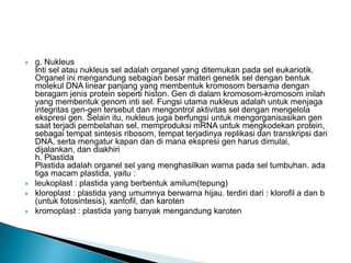  g. Nukleus
Inti sel atau nukleus sel adalah organel yang ditemukan pada sel eukariotik.
Organel ini mengandung sebagian besar materi genetik sel dengan bentuk
molekul DNA linear panjang yang membentuk kromosom bersama dengan
beragam jenis protein seperti histon. Gen di dalam kromosom-kromosom inilah
yang membentuk genom inti sel. Fungsi utama nukleus adalah untuk menjaga
integritas gen-gen tersebut dan mengontrol aktivitas sel dengan mengelola
ekspresi gen. Selain itu, nukleus juga berfungsi untuk mengorganisasikan gen
saat terjadi pembelahan sel, memproduksi mRNA untuk mengkodekan protein,
sebagai tempat sintesis ribosom, tempat terjadinya replikasi dan transkripsi dari
DNA, serta mengatur kapan dan di mana ekspresi gen harus dimulai,
dijalankan, dan diakhiri
h. Plastida
Plastida adalah organel sel yang menghasilkan warna pada sel tumbuhan. ada
tiga macam plastida, yaitu :
 leukoplast : plastida yang berbentuk amilum(tepung)
 kloroplast : plastida yang umumnya berwarna hijau. terdiri dari : klorofil a dan b
(untuk fotosintesis), xantofil, dan karoten
 kromoplast : plastida yang banyak mengandung karoten
 