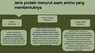 ppt selvi protein.pptx
