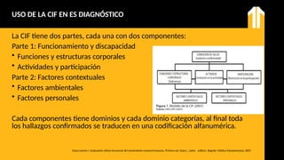 Evaluación y Diagnóstico Fisioterapéutico: Fundamentos y Aplicaciones ...