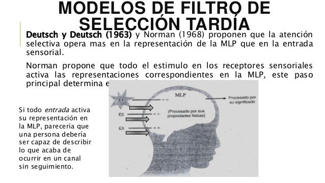 Significado de filtro en una persona