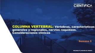 COLUMNA VERTEBRAL: Vértebras, características
generales y regionales, nervios raquídeos.
Consideraciones clínicas
Semana 5
 