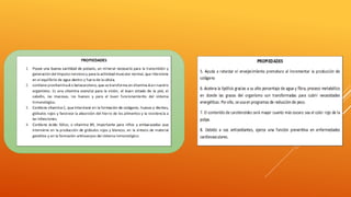 Ppt semana 8