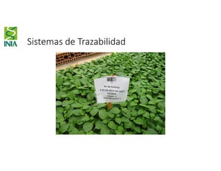 Sistemas de Trazabilidad
 