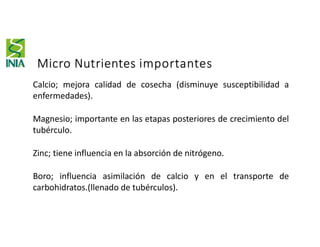 Calcio; mejora calidad de cosecha (disminuye susceptibilidad a
enfermedades).
Magnesio; importante en las etapas posteriores de crecimiento del
tubérculo.
Zinc; tiene influencia en la absorción de nitrógeno.
Boro; influencia asimilación de calcio y en el transporte de
carbohidratos.(llenado de tubérculos).
Micro Nutrientes importantes
 
