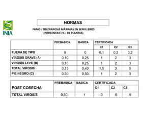 PAPAS : TOLERANCIAS MÁXIMAS EN SEMILLEROS
(PORCENTAJE (%) DE PLANTAS)
PREBASICA BASICA CERTIFICADA
C1 C2 C3
FUERA DE TIPO 0 0 0,1 0,2 0,2
VIROSIS GRAVE (A) 0,10 0,25 1 2 3
VIROSIS LEVE (B) 0,10 0,25 1 2 3
TOTAL VIROSIS 0,15 0,40 1,5 3 5
PIE NEGRO (C) 0,30 0,50 1 2 3
POST COSECHA
PREBASICA BASICA CERTIFICADA
C1 C2 C3
TOTAL VIROSIS 0,50 1 3 5 9
NORMAS
 