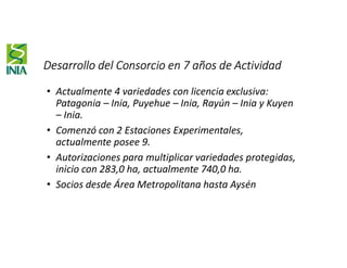 Desarrollo del Consorcio en 7 años de Actividad
• Actualmente 4 variedades con licencia exclusiva:
Patagonia – Inia, Puyehue – Inia, Rayún – Inia y Kuyen
– Inia.
• Comenzó con 2 Estaciones Experimentales,
actualmente posee 9.
• Autorizaciones para multiplicar variedades protegidas,
inicio con 283,0 ha, actualmente 740,0 ha.
• Socios desde Área Metropolitana hasta Aysén
 