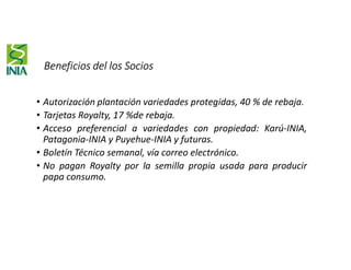 Beneficios del los Socios
• Autorización plantación variedades protegidas, 40 % de rebaja.
• Tarjetas Royalty, 17 %de rebaja.
• Acceso preferencial a variedades con propiedad: Karú-INIA,
Patagonia-INIA y Puyehue-INIA y futuras.
• Boletín Técnico semanal, vía correo electrónico.
• No pagan Royalty por la semilla propia usada para producir
papa consumo.
 