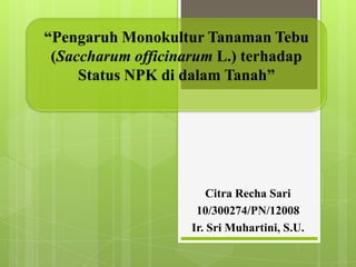 “Pengaruh Monokultur Tanaman Tebu
(Saccharum officinarum L.) terhadap
Status NPK di dalam Tanah”

Citra Recha Sari
10/300274/PN/12008
Ir. Sri Muhartini, S.U.

 
