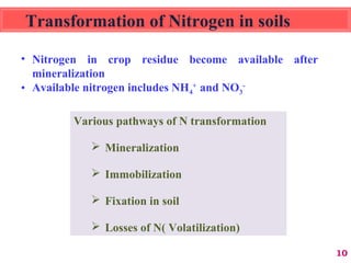 Transformation of Nitrogen in soils
Various pathways of N transformation
 Mineralization
 Immobilization
 Fixation in soil
 Losses of N( Volatilization)
• Nitrogen in crop residue become available after
mineralization
• Available nitrogen includes NH4
+
and NO3
-
10
 