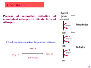  Under aerobic condition the process continues
NH4
+
-N NO3
-
-N
NO2
-
-N
Nitrification
3. Nitrification
15
Process of microbial oxidation of
ammonical nitrogen to nitrate form of
nitrogen.
 