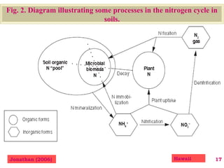 17
Fig. 2. Diagram illustrating some processes in the nitrogen cycle in
soils.
HawaiiJonathan (2006)
 
