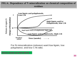 22
Source: Brady And Wail (2012)
 