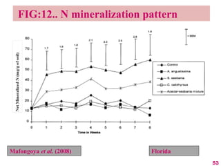 53
FIG:12.. N mineralization pattern
Mafongoya et al. (2008) Florida
 