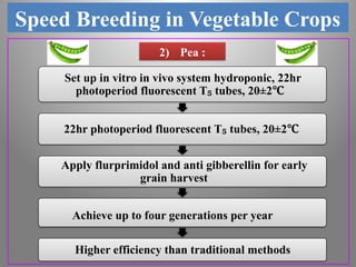 Speed breeding in Vegetable crops, master seminar Chaitanya Vankalas | PPTX