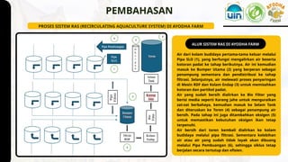 PPT Seminar Faizal Khaerul Amam_Aktivitas Manajemen Budidaya Ikan Nila ...