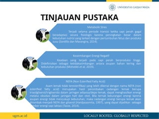 Sapi Stres PPT Metabolic Stres Terhadap Aktivitas Ovari dan Performa Reproduksi ...