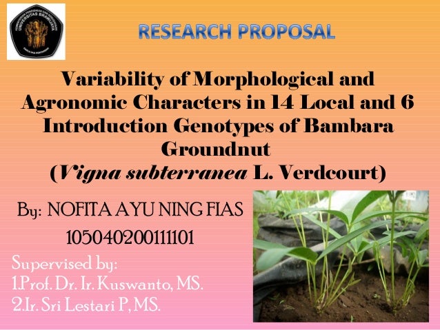 My research proposal