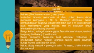 Pengaruh penambahan ekstrak biji kakao dan metode pemasakan | PPTX