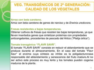 7¿CÓMO SE HACE UN TRANSGÉNICO?