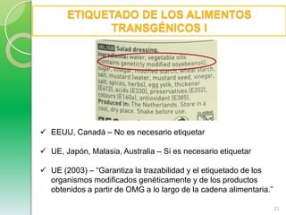 VEG. TRANSGÉNICOS DE 2ª GENERACIÓN: PLANTAS MÁS PRODUCTIVASArroz con tres genes de enzimas de maíz: Fosfoenolpiruvatocarboxilasa (PEPC), Piruvatoortofosfatodikinasa (PPDK), y NADP enzima malica (ME) que codifican la vía fotosintética C4 aumentaron la producción de arroz. Estudios de campo preliminares hechos en China y en Corea mostraron respectivamente incrementos de granos de 10-30% y de 30-35% de plantas transgénicas con PEPC y PPDK. 15