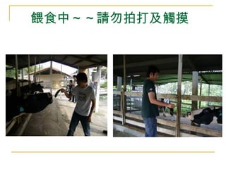 餵食中～～請勿拍打及觸摸 