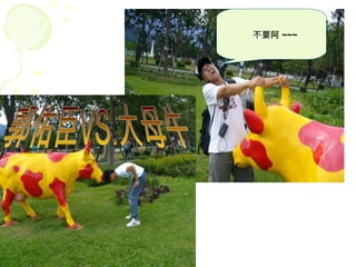 不要阿 ~~~ 郭佑臣VS.大母牛 